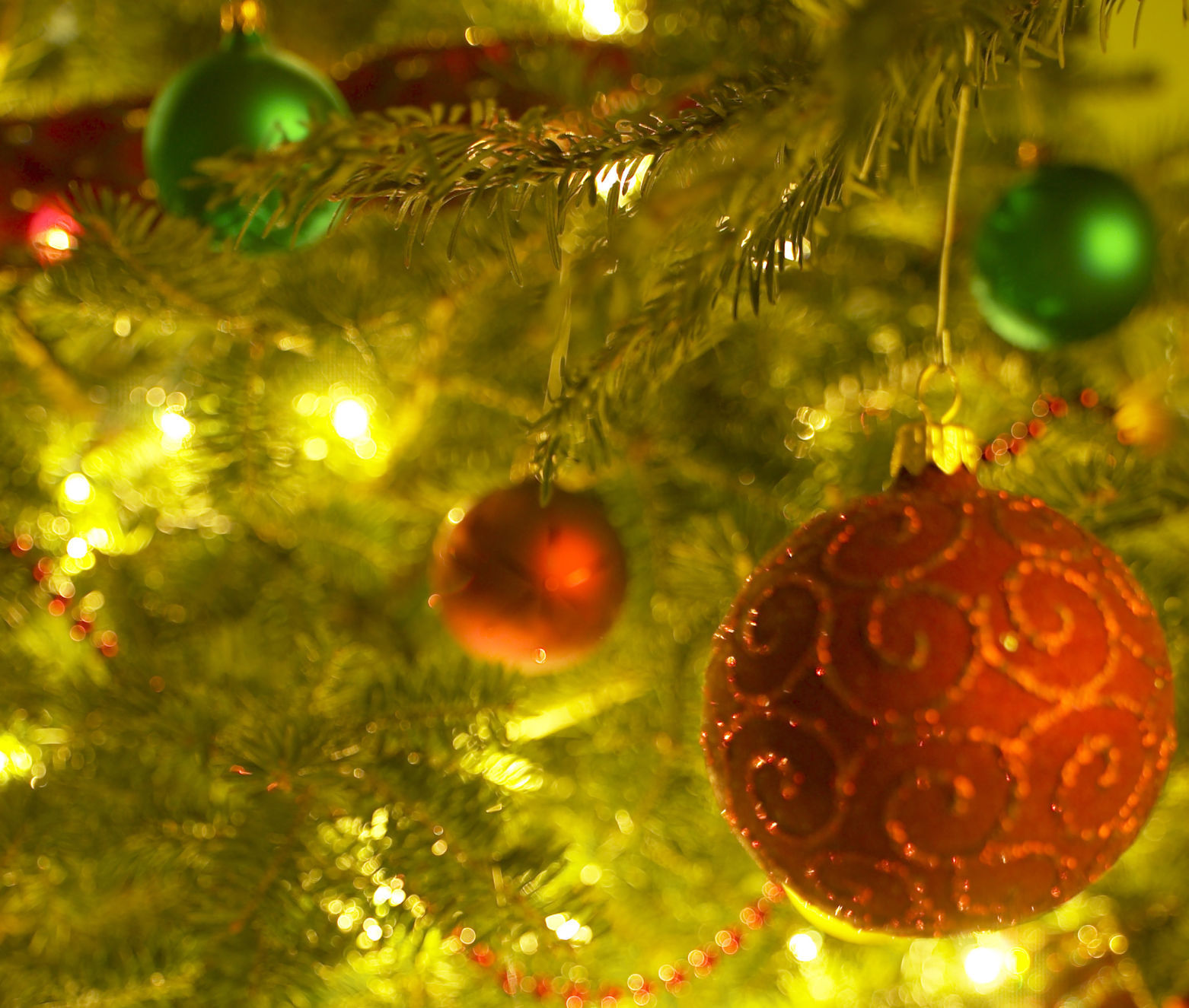 Festival of Trees